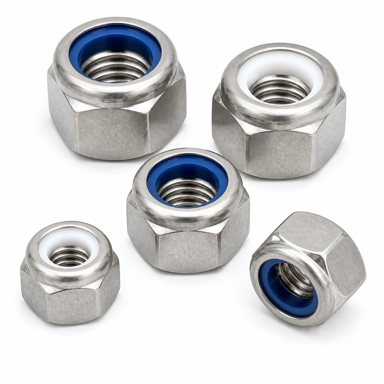 Five stainless steel nylon lock nuts with mixed blue and white nylon inserts on a pure white background